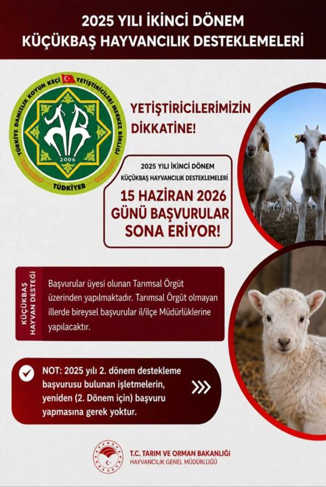 2025 YILI 2. DÖNEM KUZU/OĞLAK DESTEKLEME BAŞVURULARI CUMA GÜNÜ SON!!!