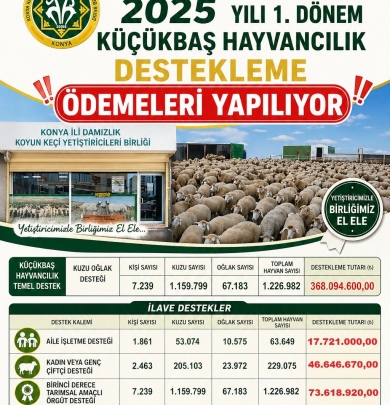 Üyelerimiz İçin Çalışıyor, Birlikte Başarıyoruz!