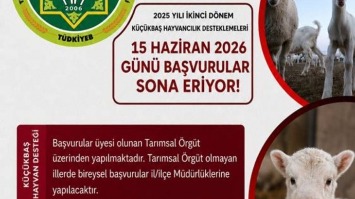  2025 YILI 2. DÖNEM KUZU/OĞLAK DESTEKLEME BAŞVURULARI CUMA GÜNÜ SON!!!