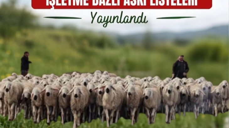 2025 YILI 2.DÖNEM KUZU OĞLAK DESTEKLEMESİ ASKIYA ÇIKTI